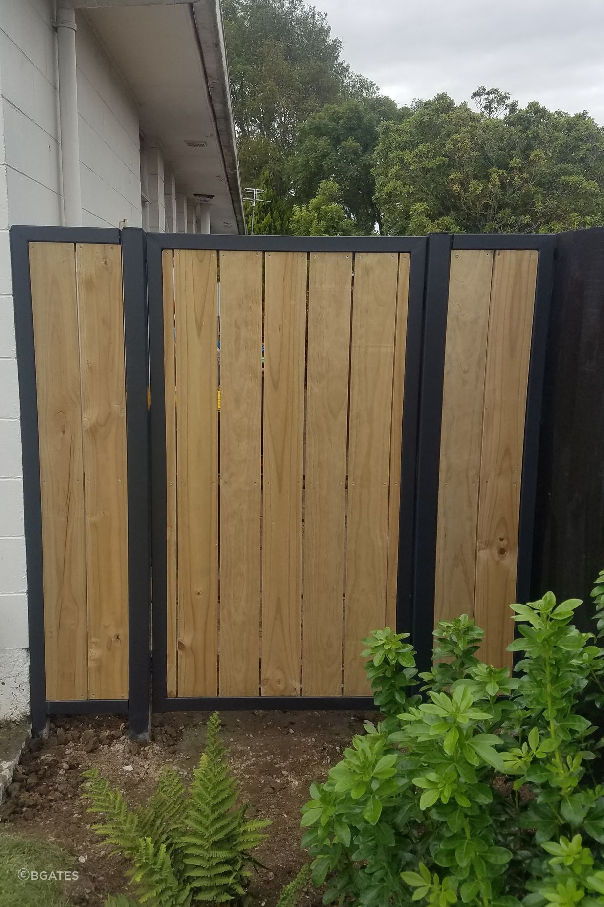 Pedestrian Gates