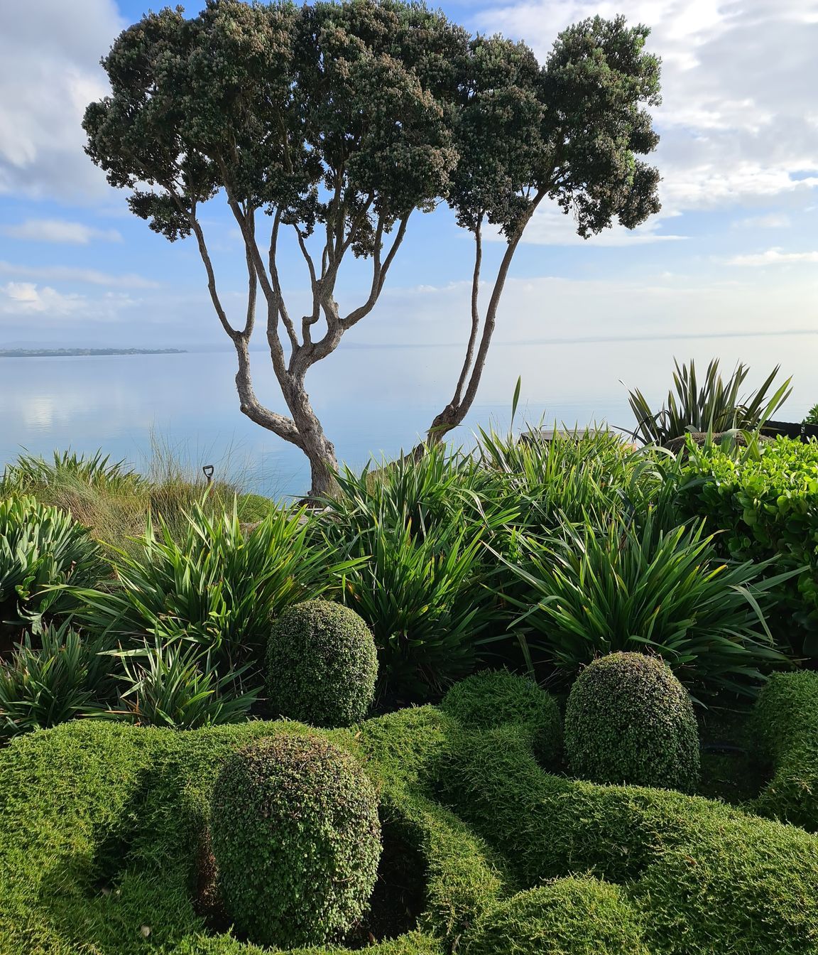 Paradise Landscapes