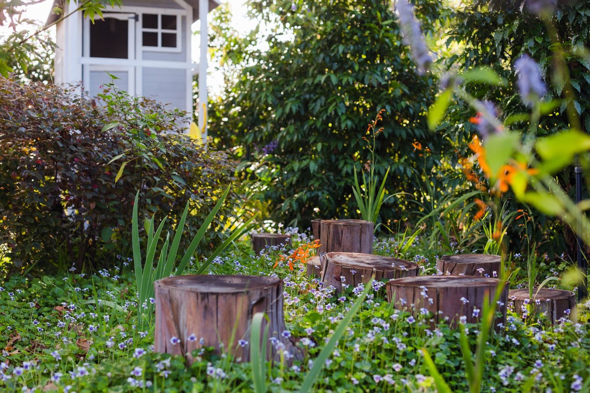 Elm Garden