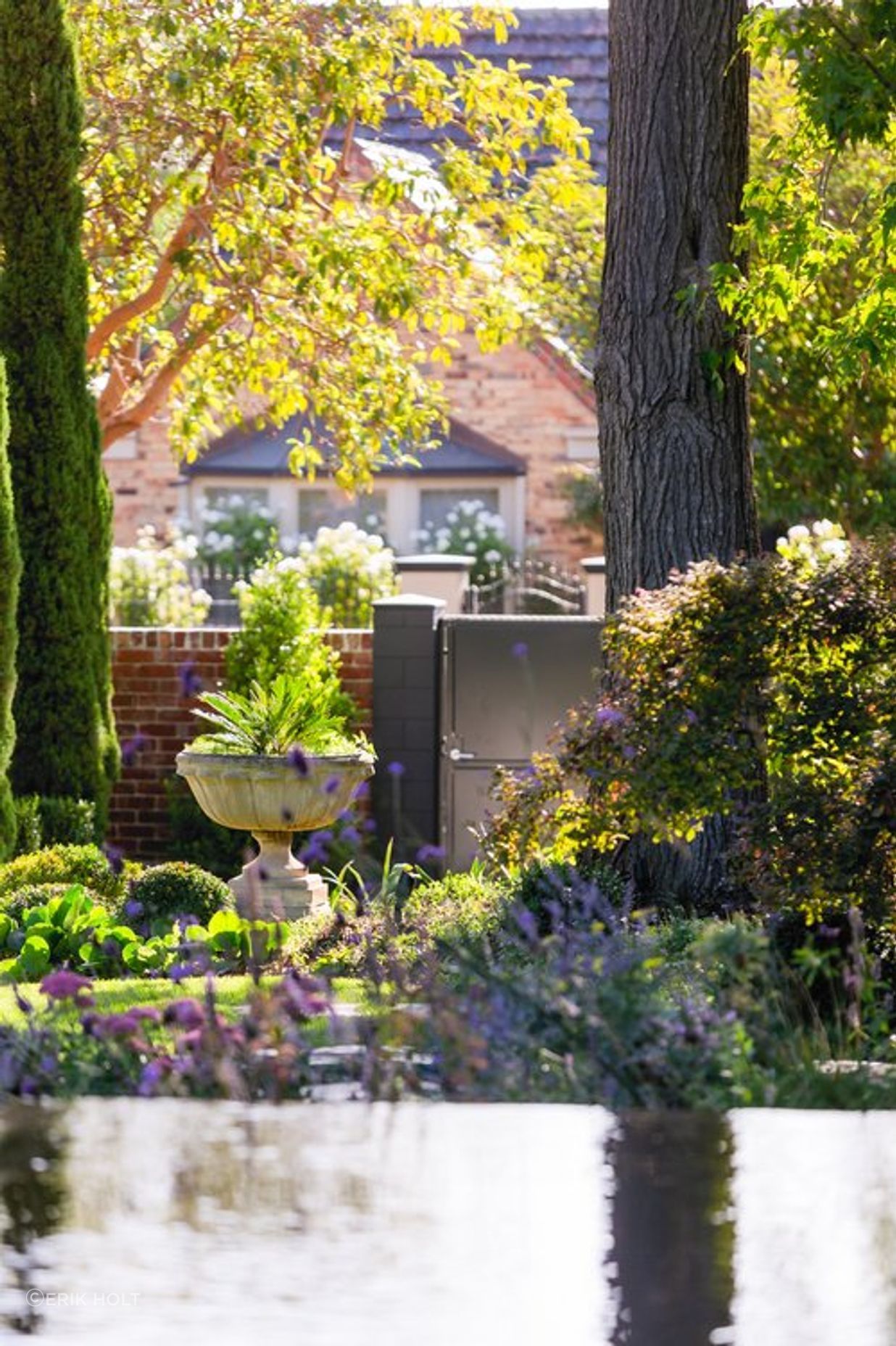 Elm Garden