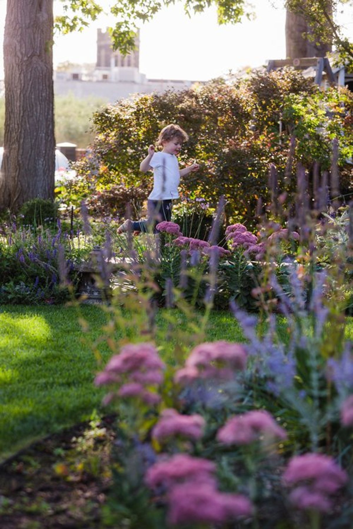 Elm Garden