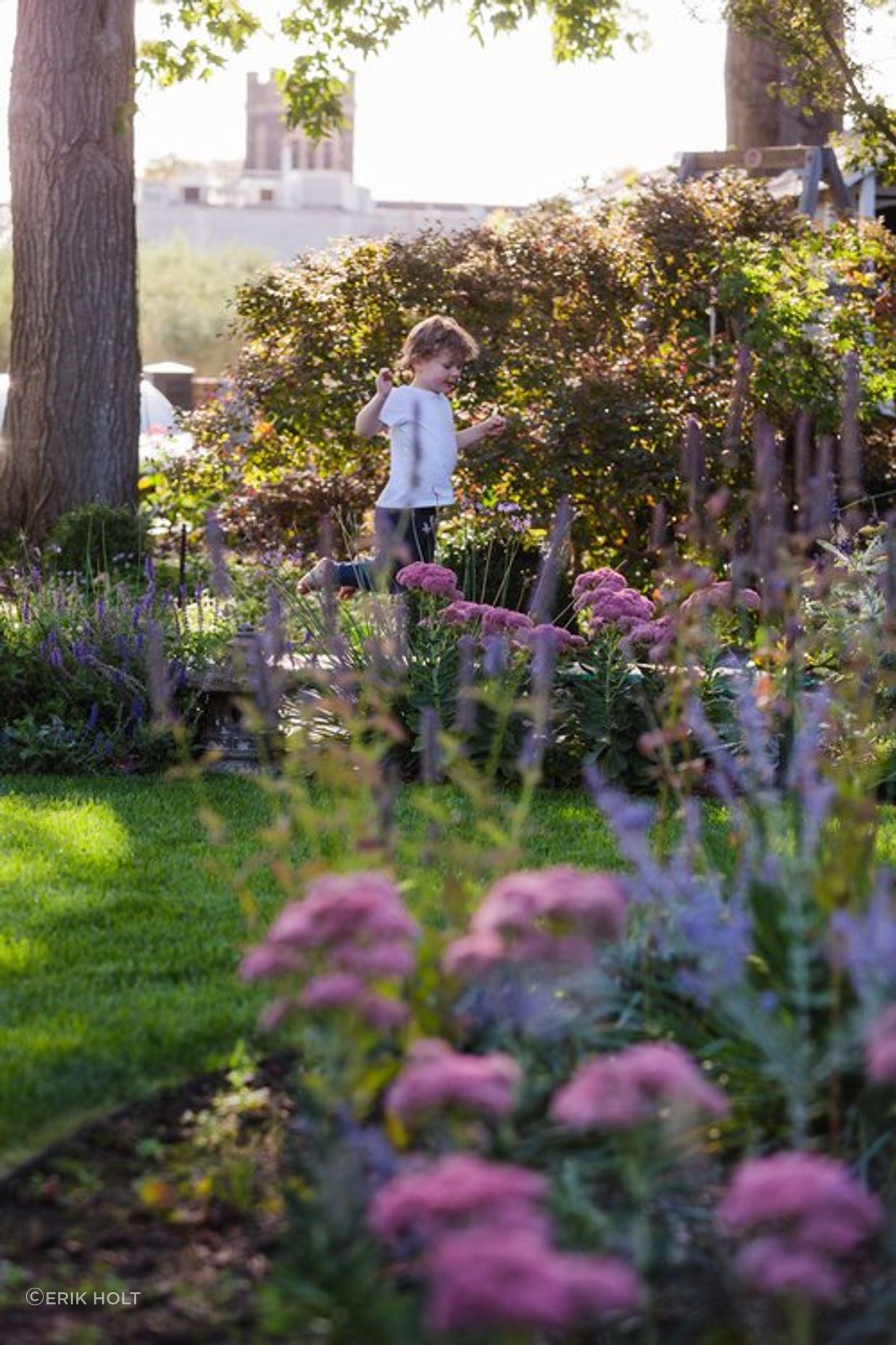 Elm Garden