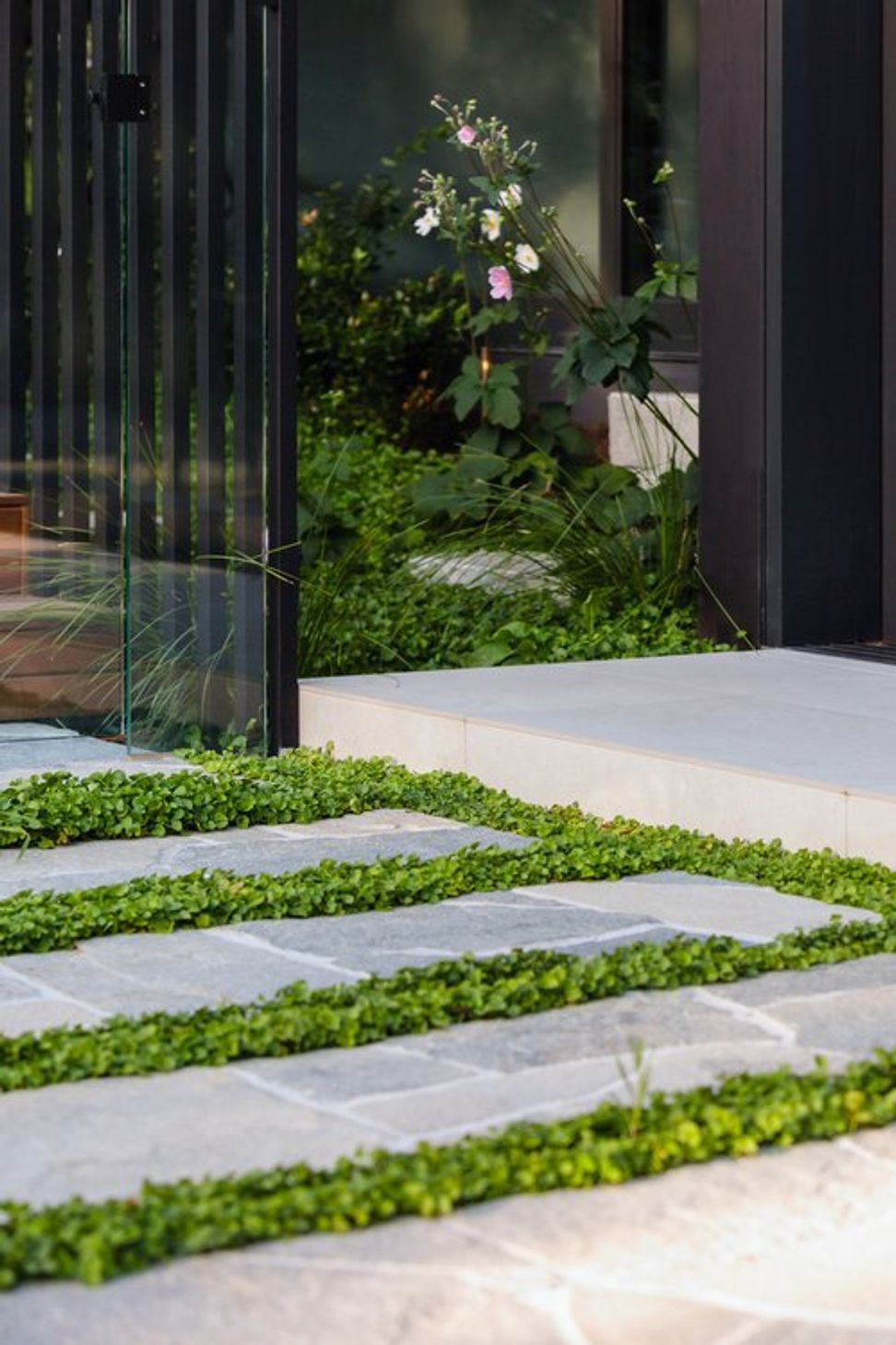 Elm Garden