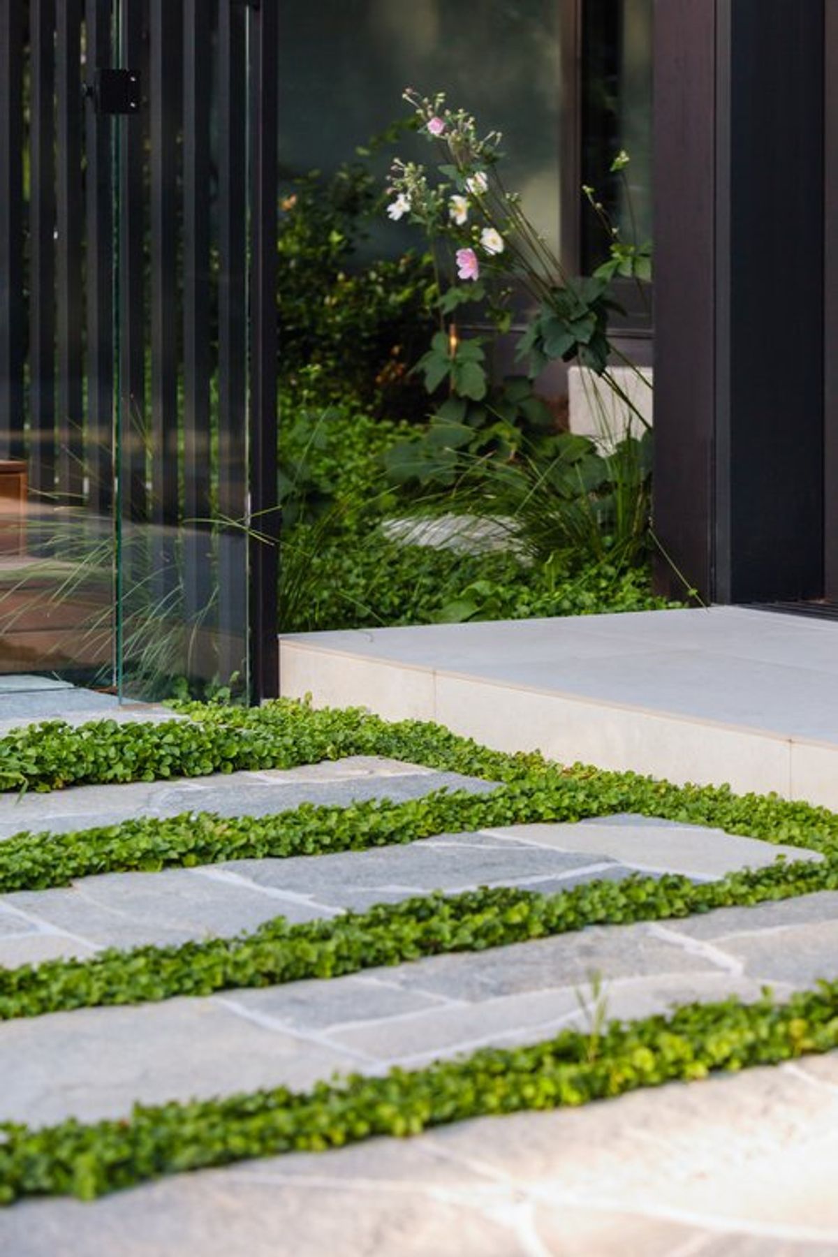 Elm Garden