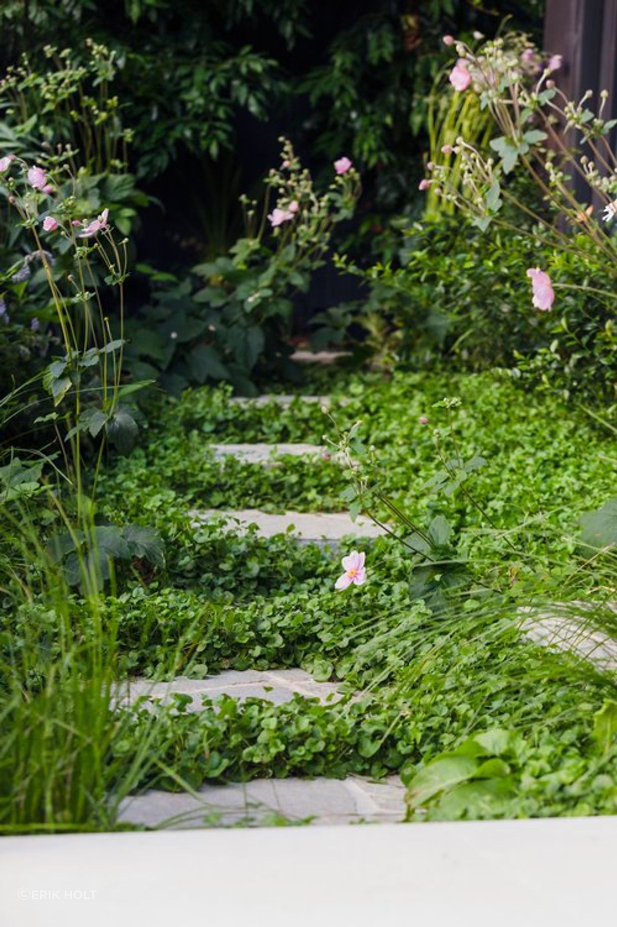 Elm Garden
