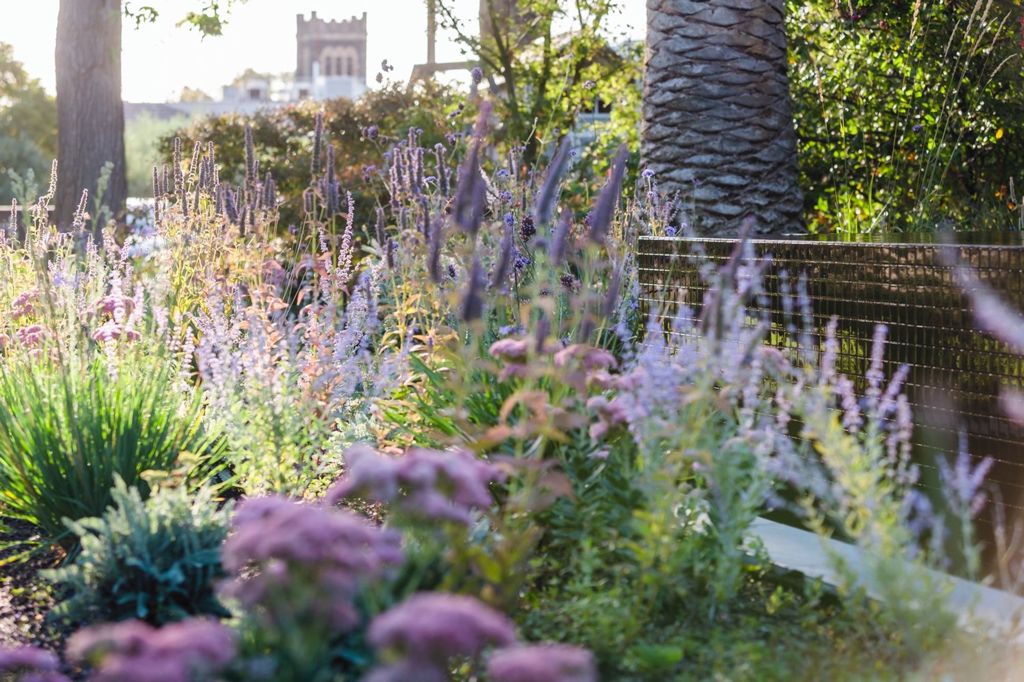 Elm Garden