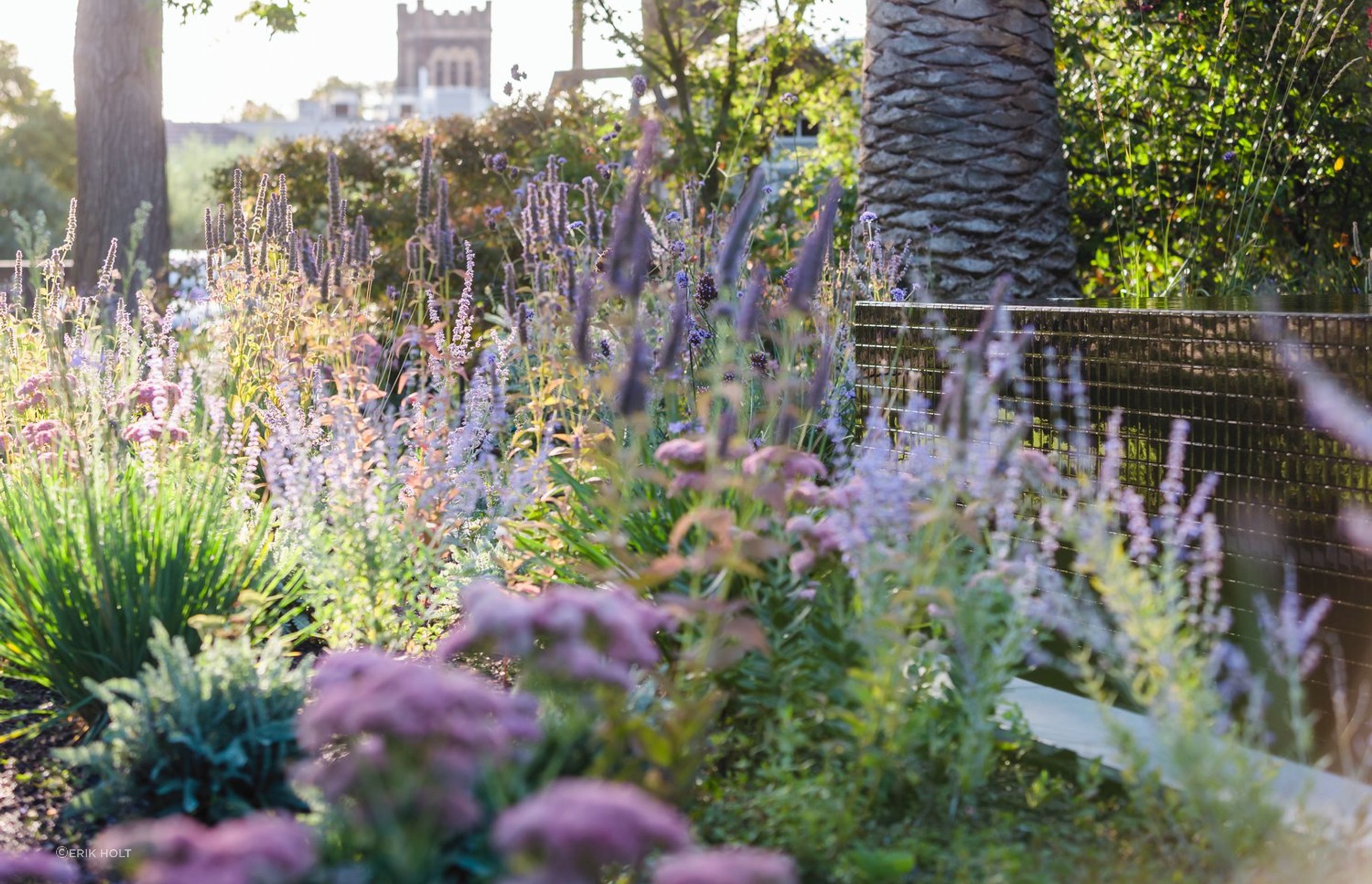 Elm Garden