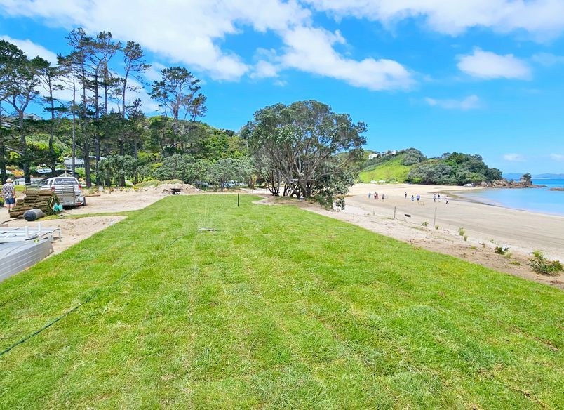 Green Oasis: Transforming Tutukaka's Sand Dunes