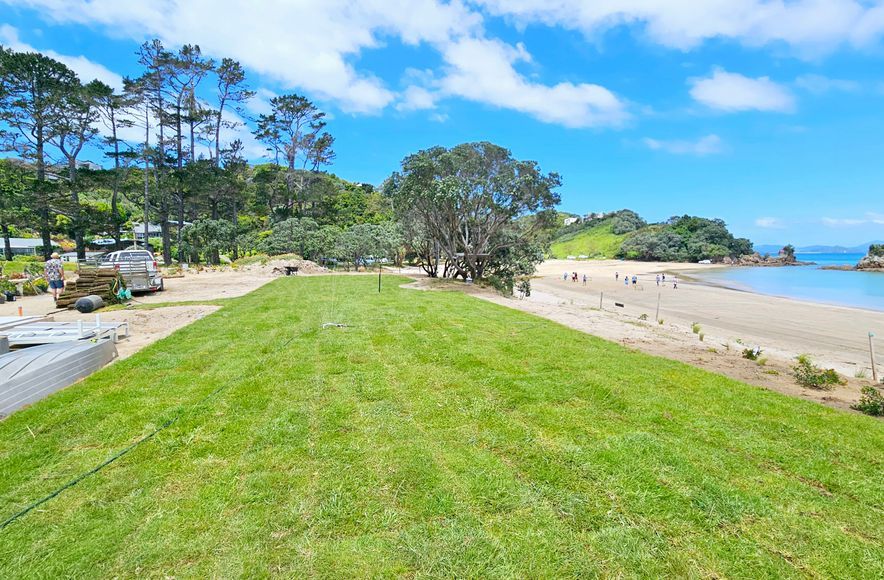 Green Oasis: Transforming Tutukaka's Sand Dunes