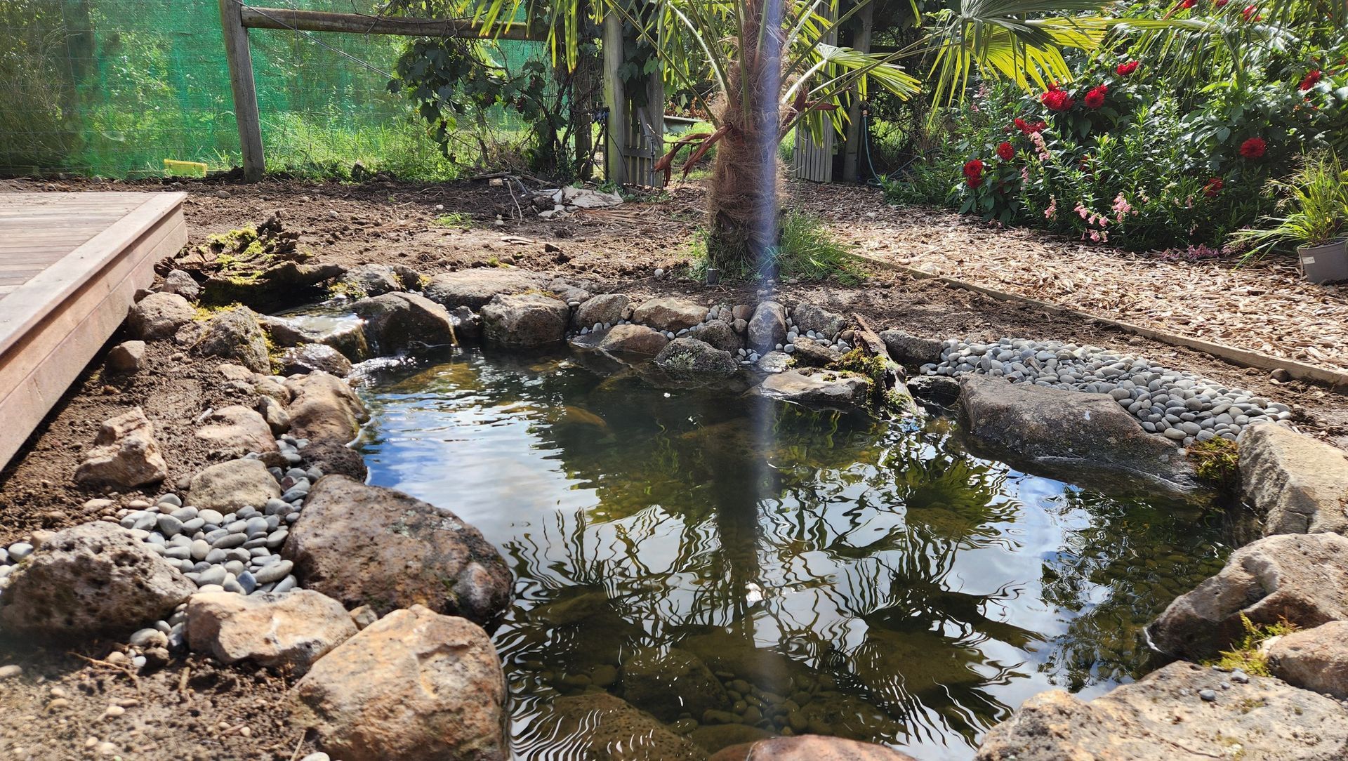 Nature's Mirror banner
