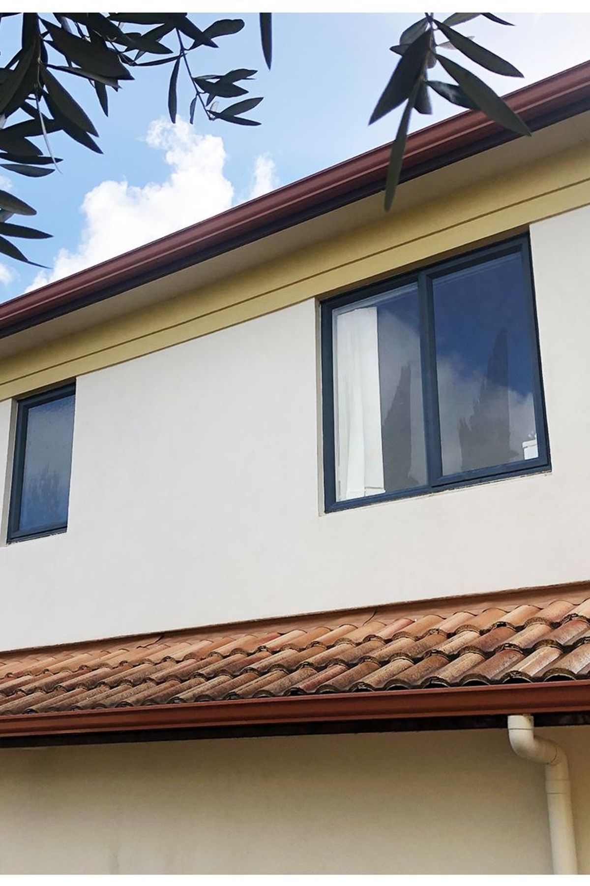 Before and After Photos