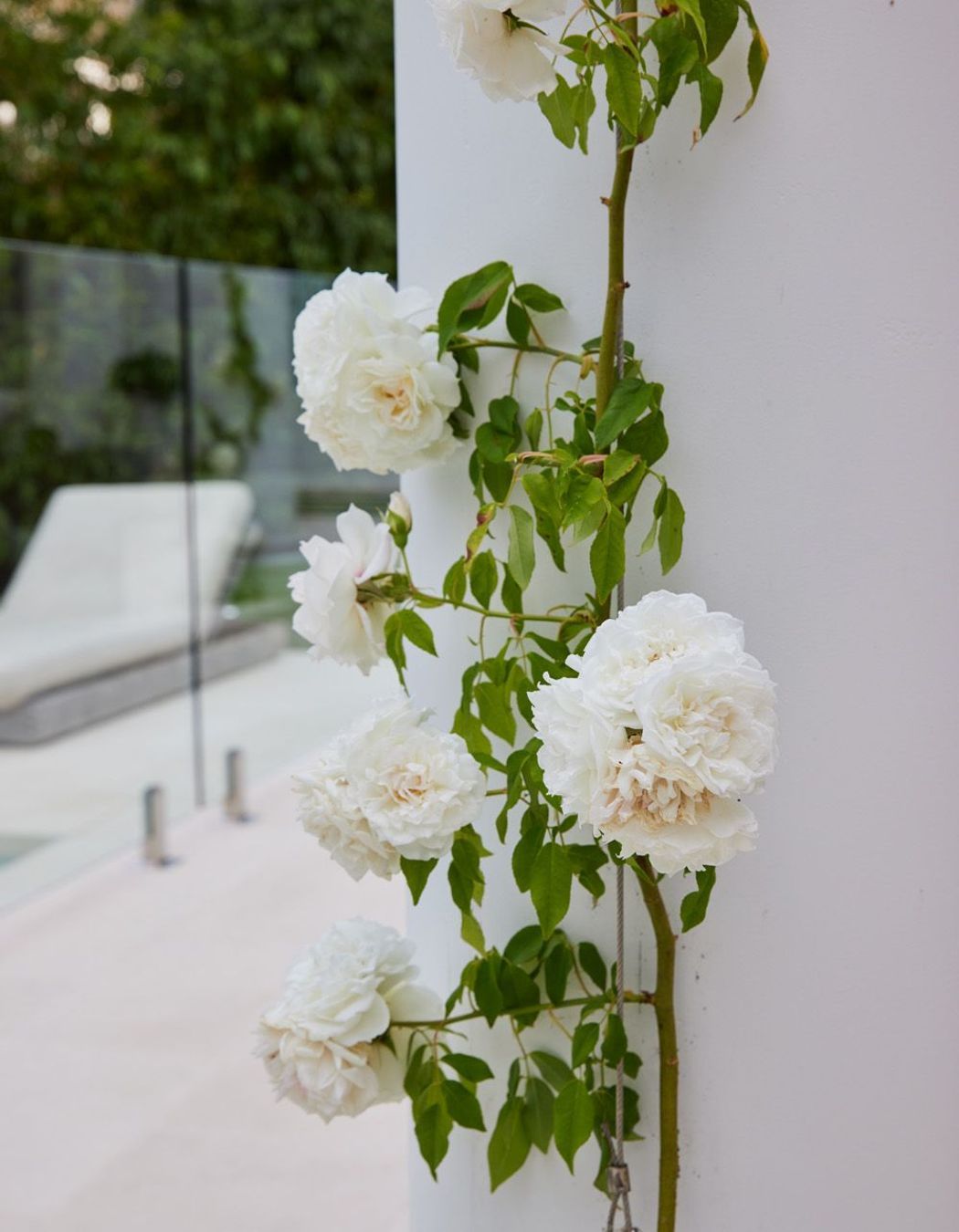 Woollahra House