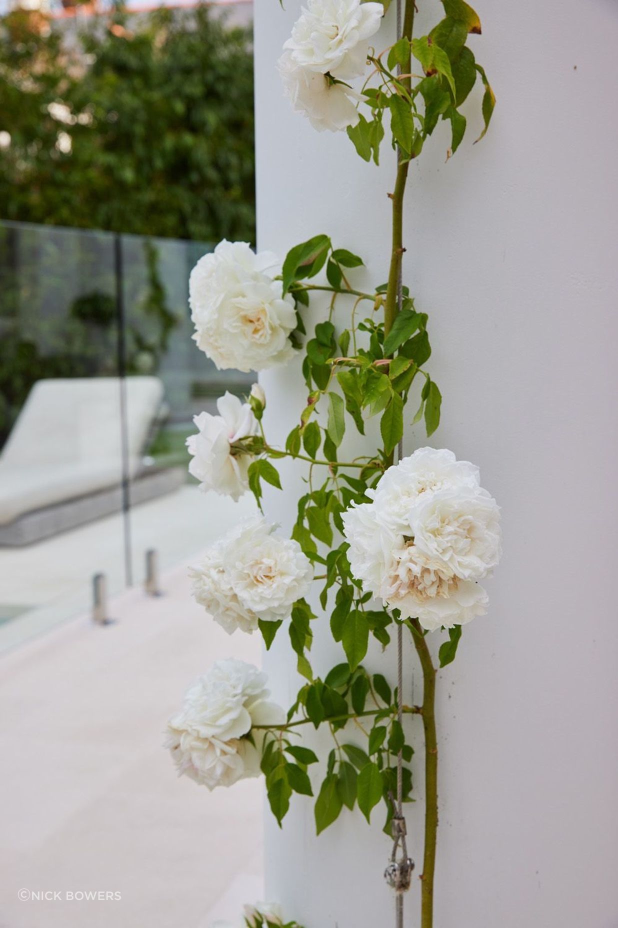 Woollahra House