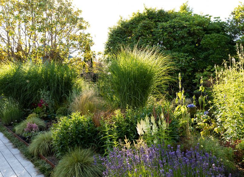 Juliette's Garden