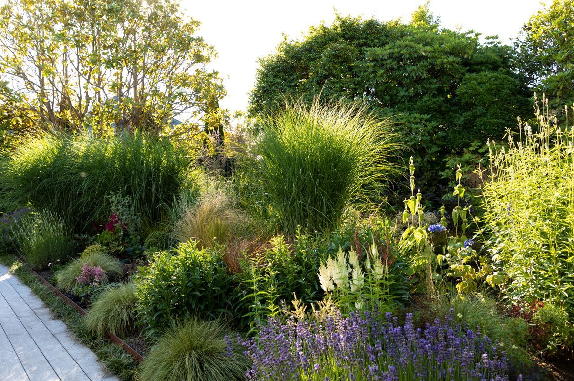 Juliette's Garden