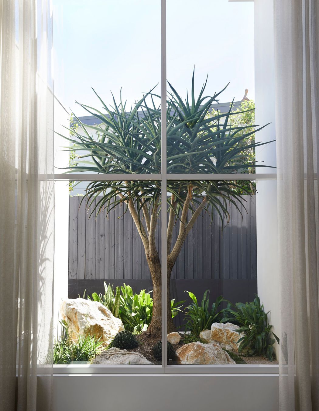 221215OutdoorEstablishmentsThornleigh0389.jpeg