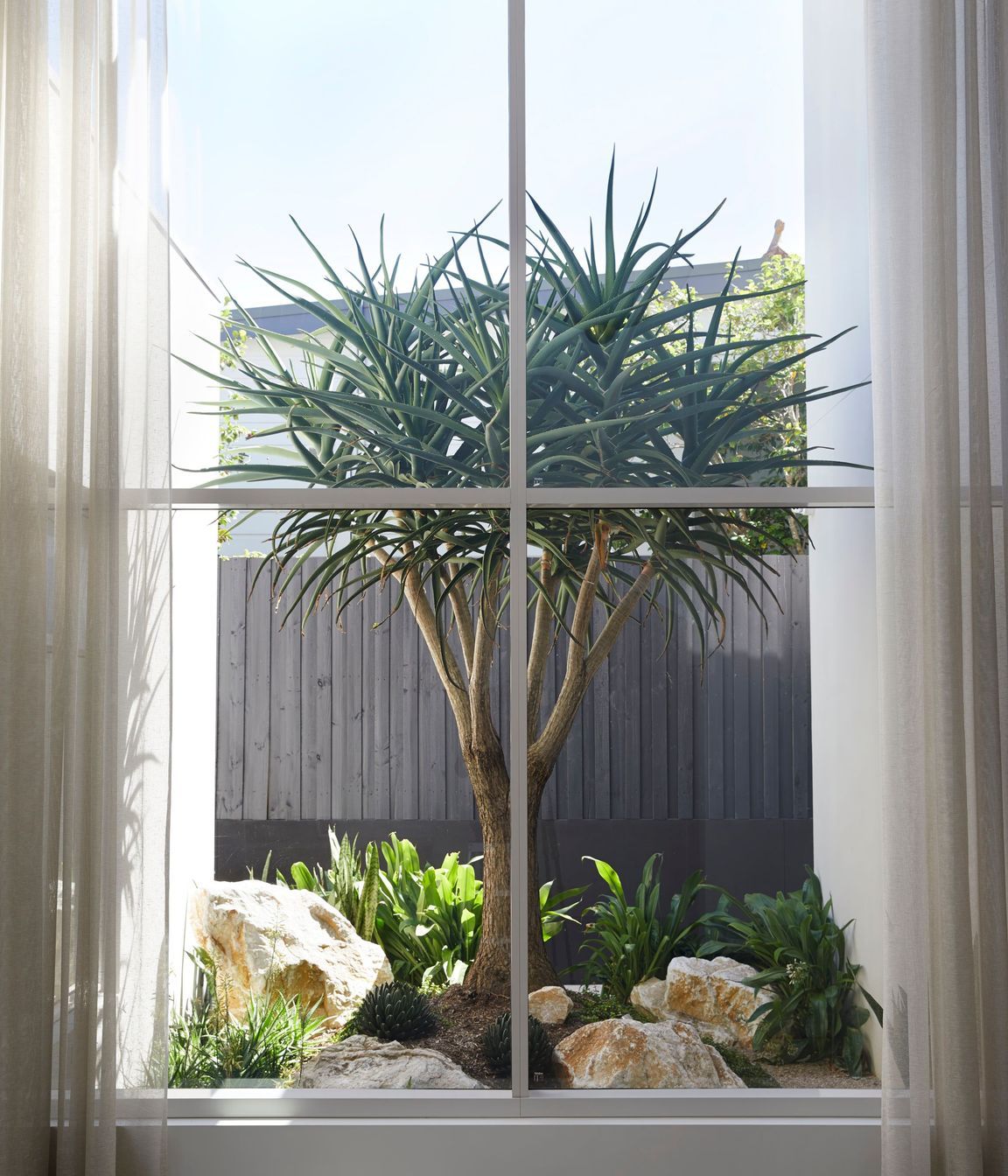 221215OutdoorEstablishmentsThornleigh0389.jpeg