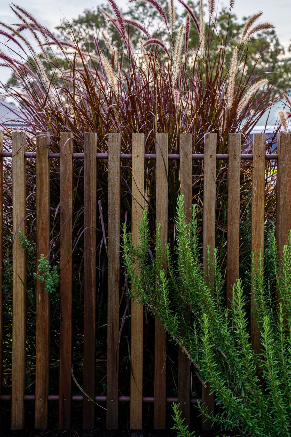 23111446TudorStreet-15.jpg