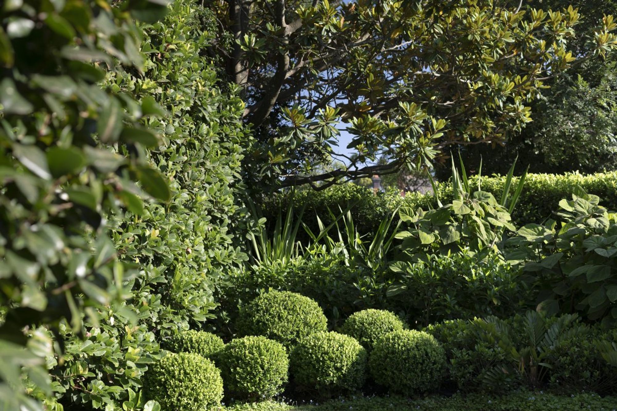 Mosman Grounds