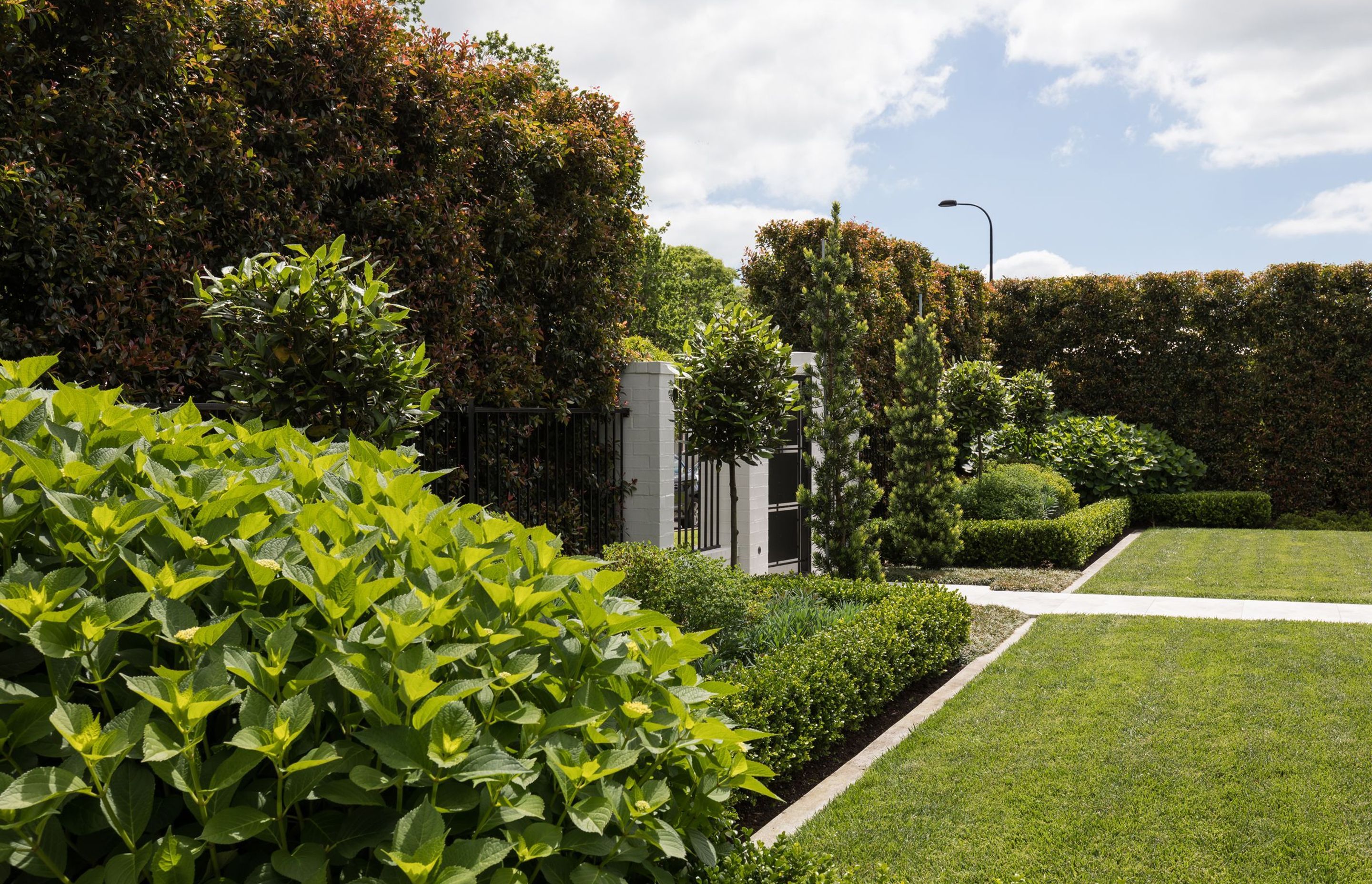 Remuera House V