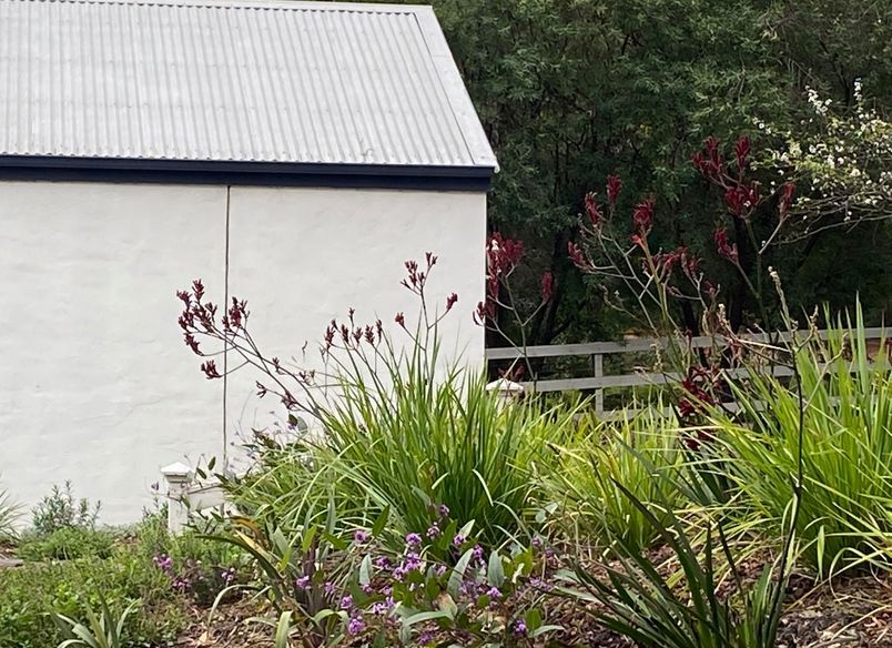 Smedley Rd - Park Orchards