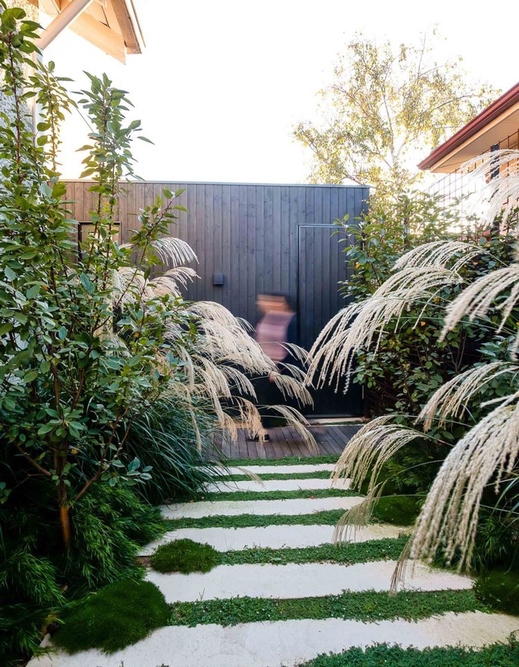 Fountain Grass Garden