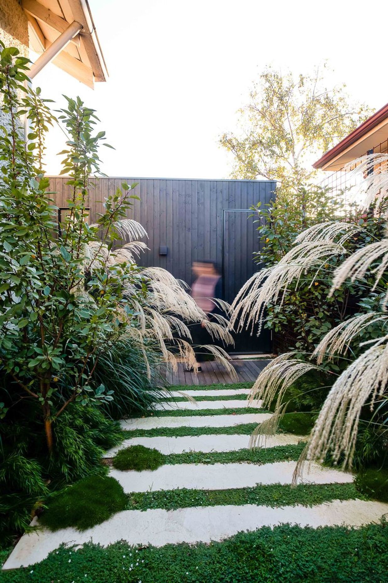 Fountain Grass Garden