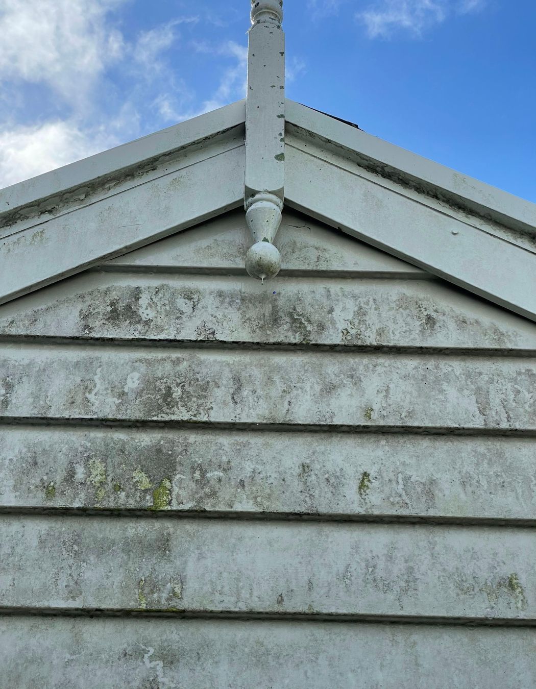 Before and After Photos