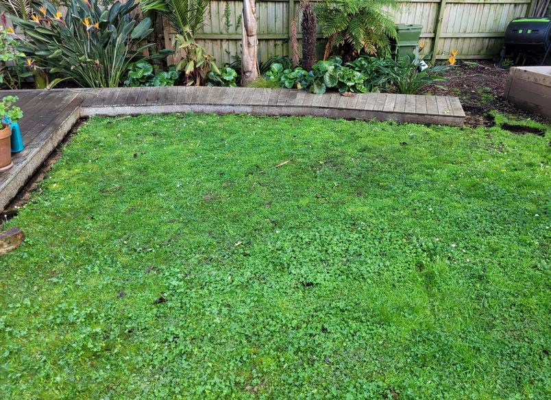 Mt Eden Garden Makeover