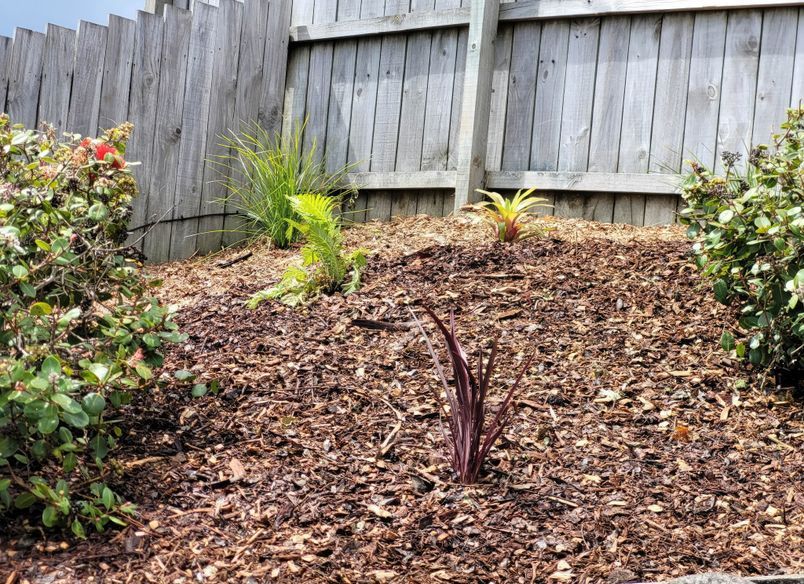 Pine Dale Garden Makeovers