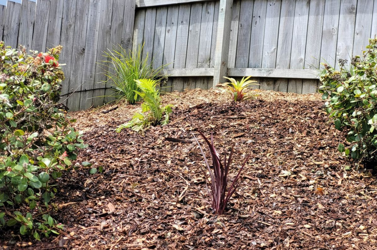 Pine Dale Garden Makeovers