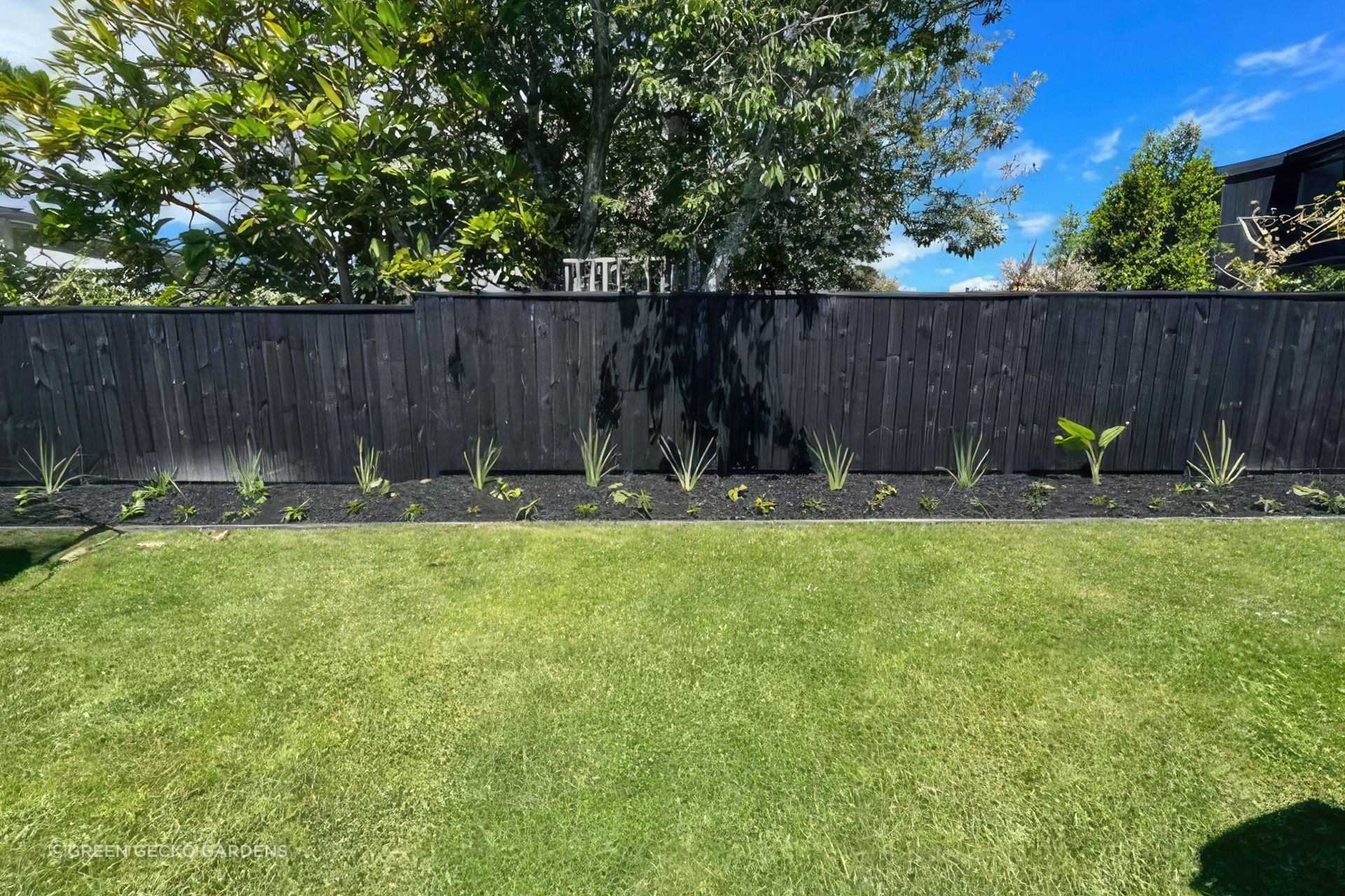 3700994653798256411453072378629177998737652n-gigapixel-standard-scale-600x-v3.jpg