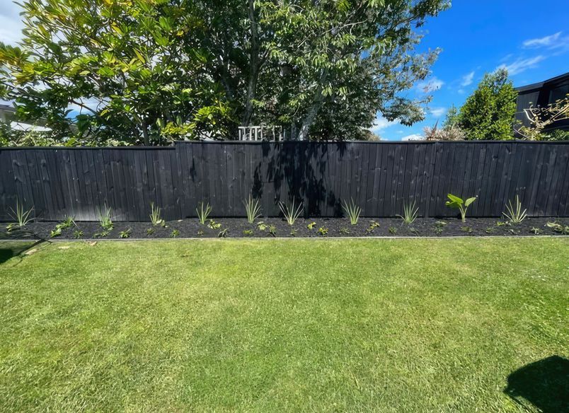 Mt Albert Garden Makeover