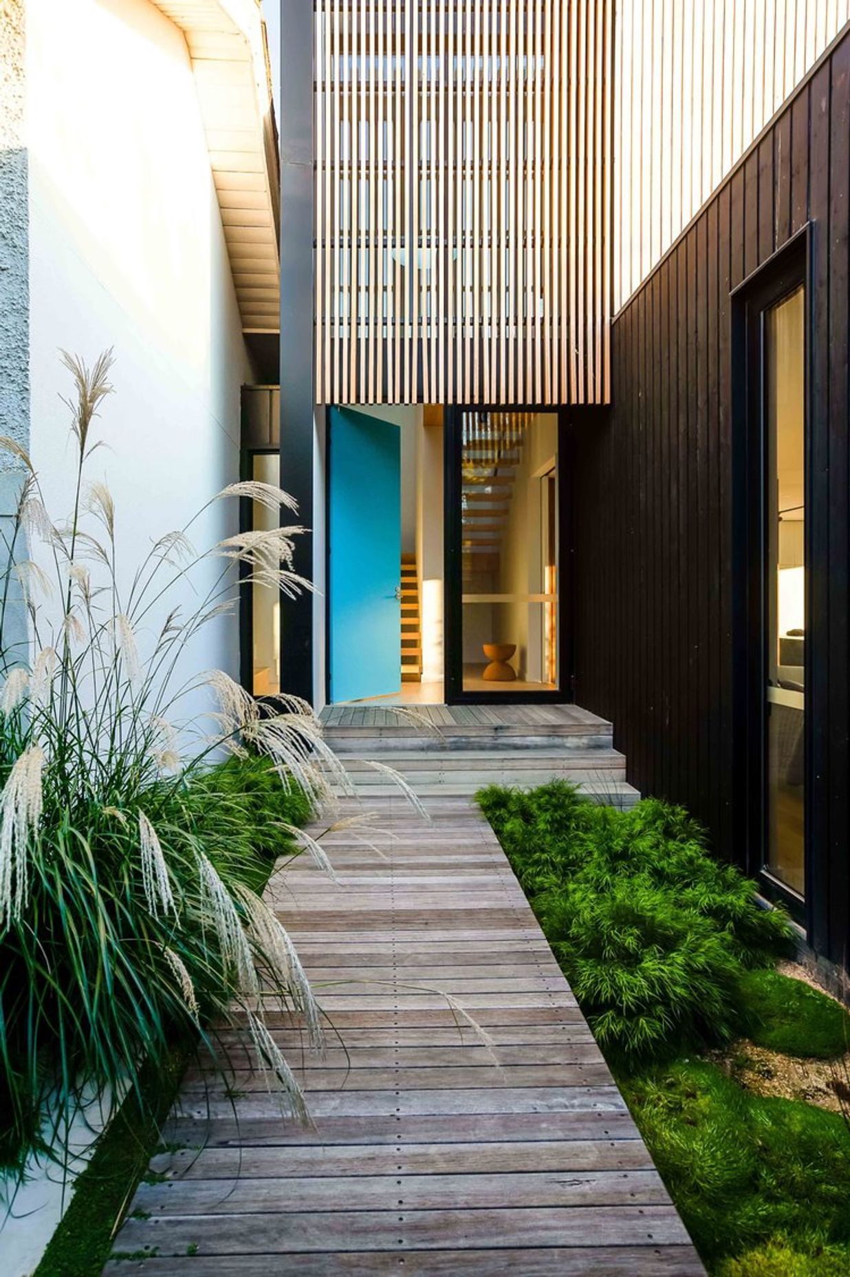 Fountain Grass Garden
