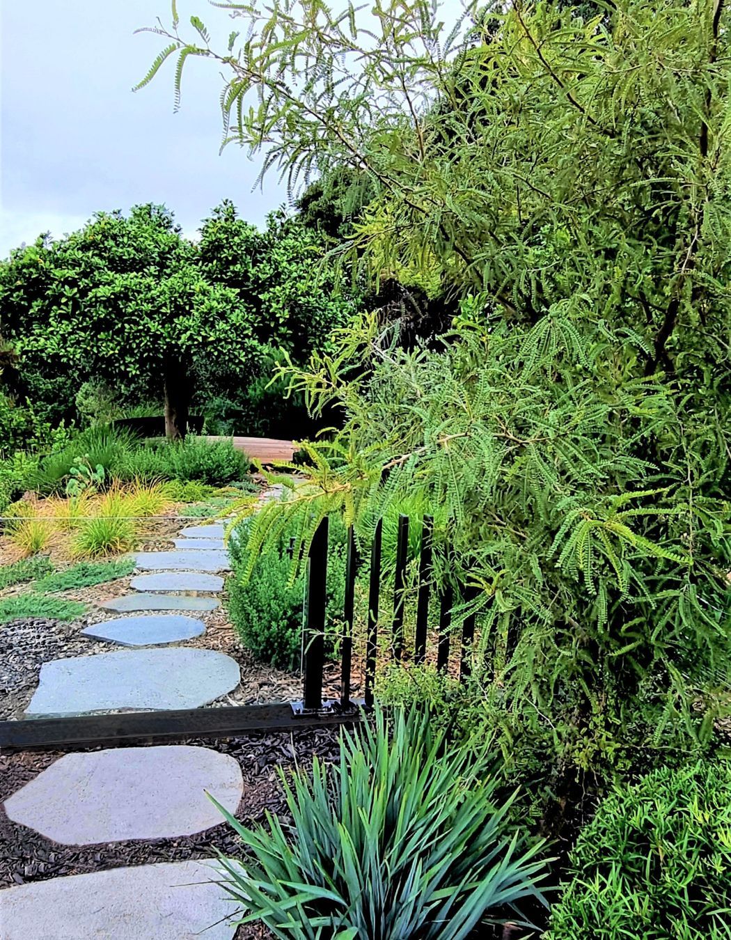 Birkenhead Point Garden