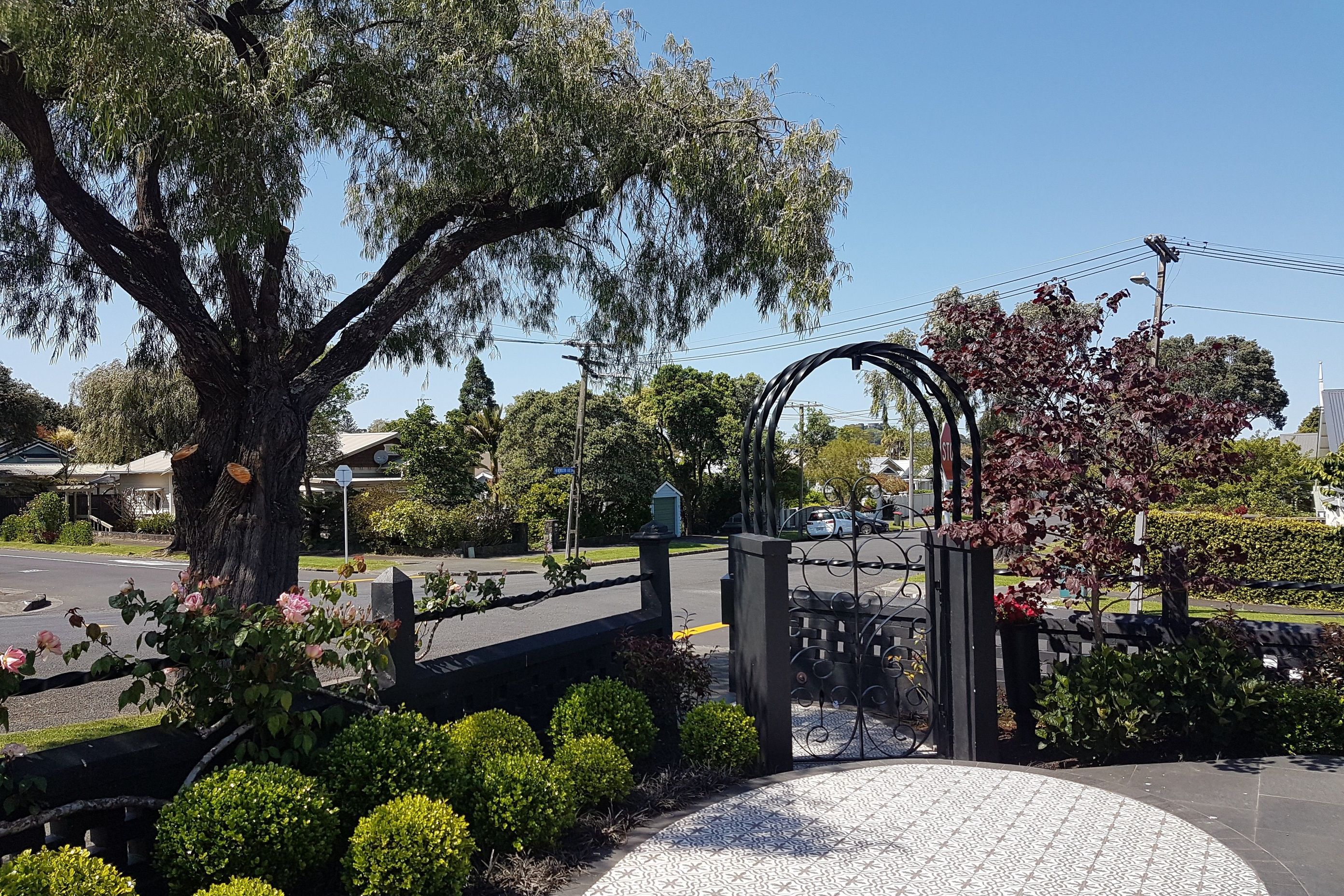Classical and contemporary courtyard, Mt Eden
