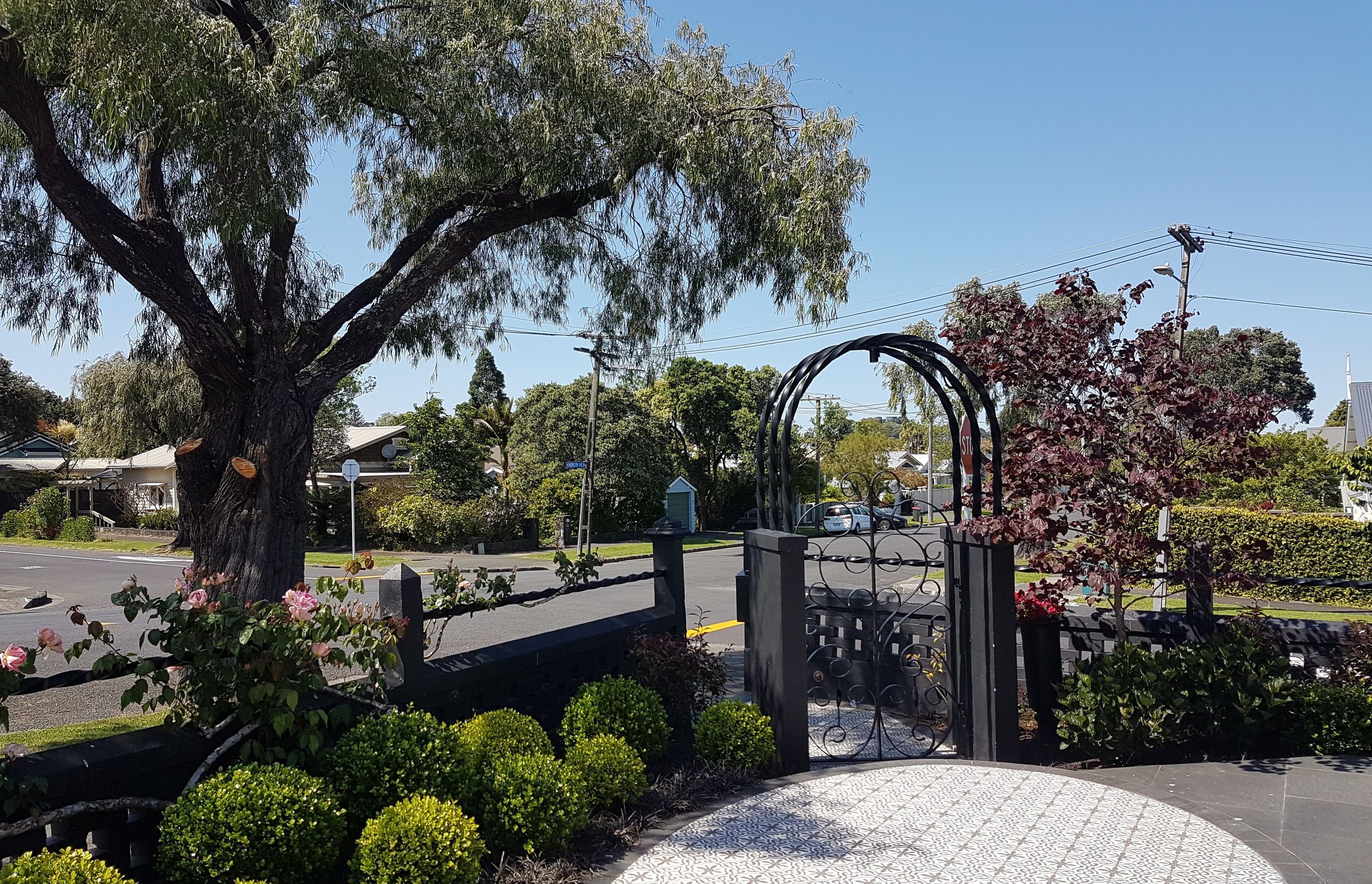 Classical and contemporary courtyard, Mt Eden