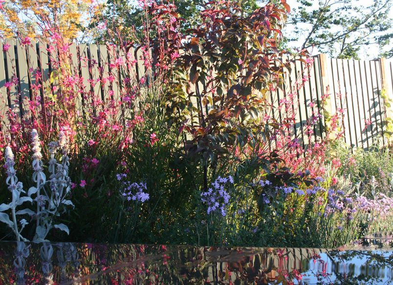 Welkin' Rooftop Terrace & Scarborough In-Ground Garden 'Clifton Hill'