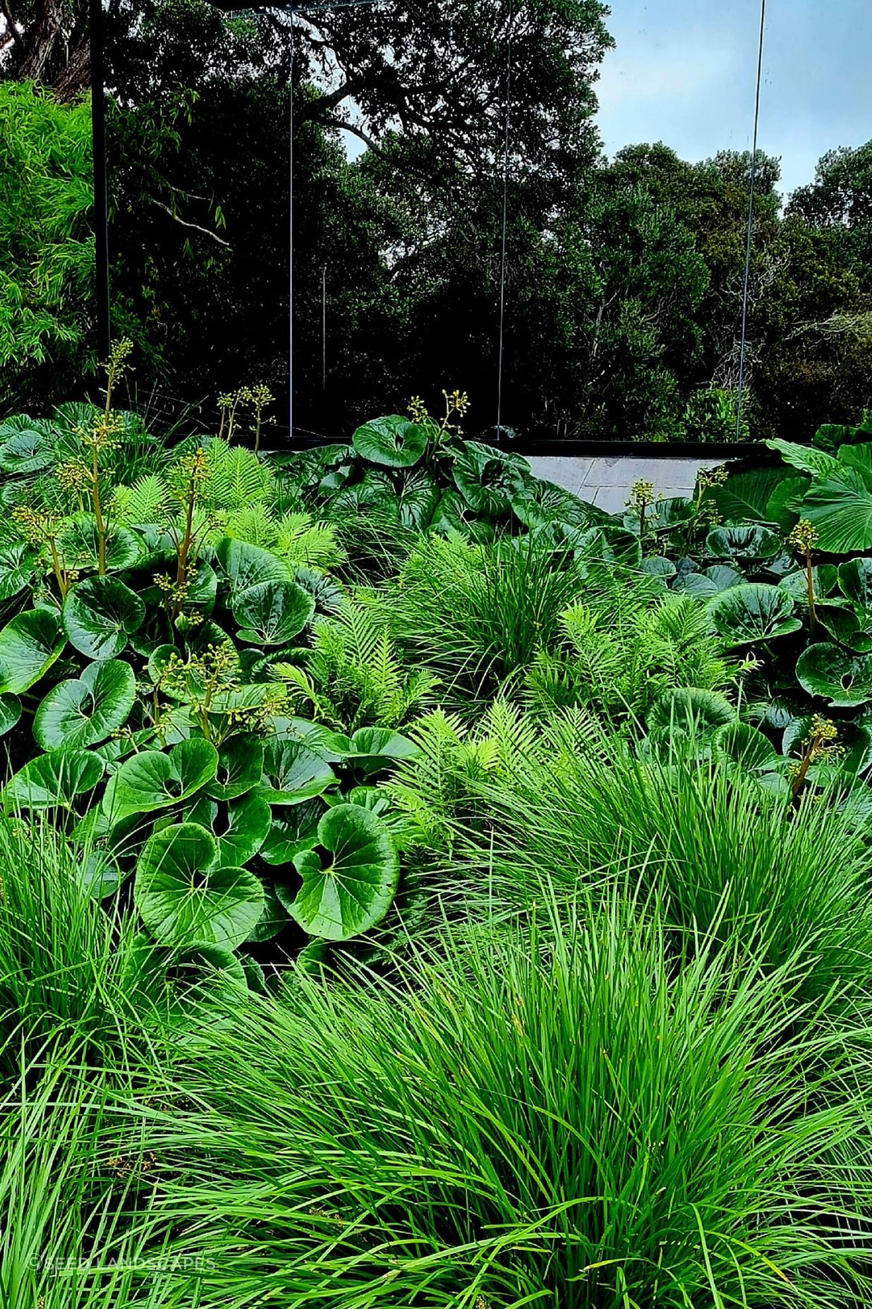 Birkenhead Point Garden