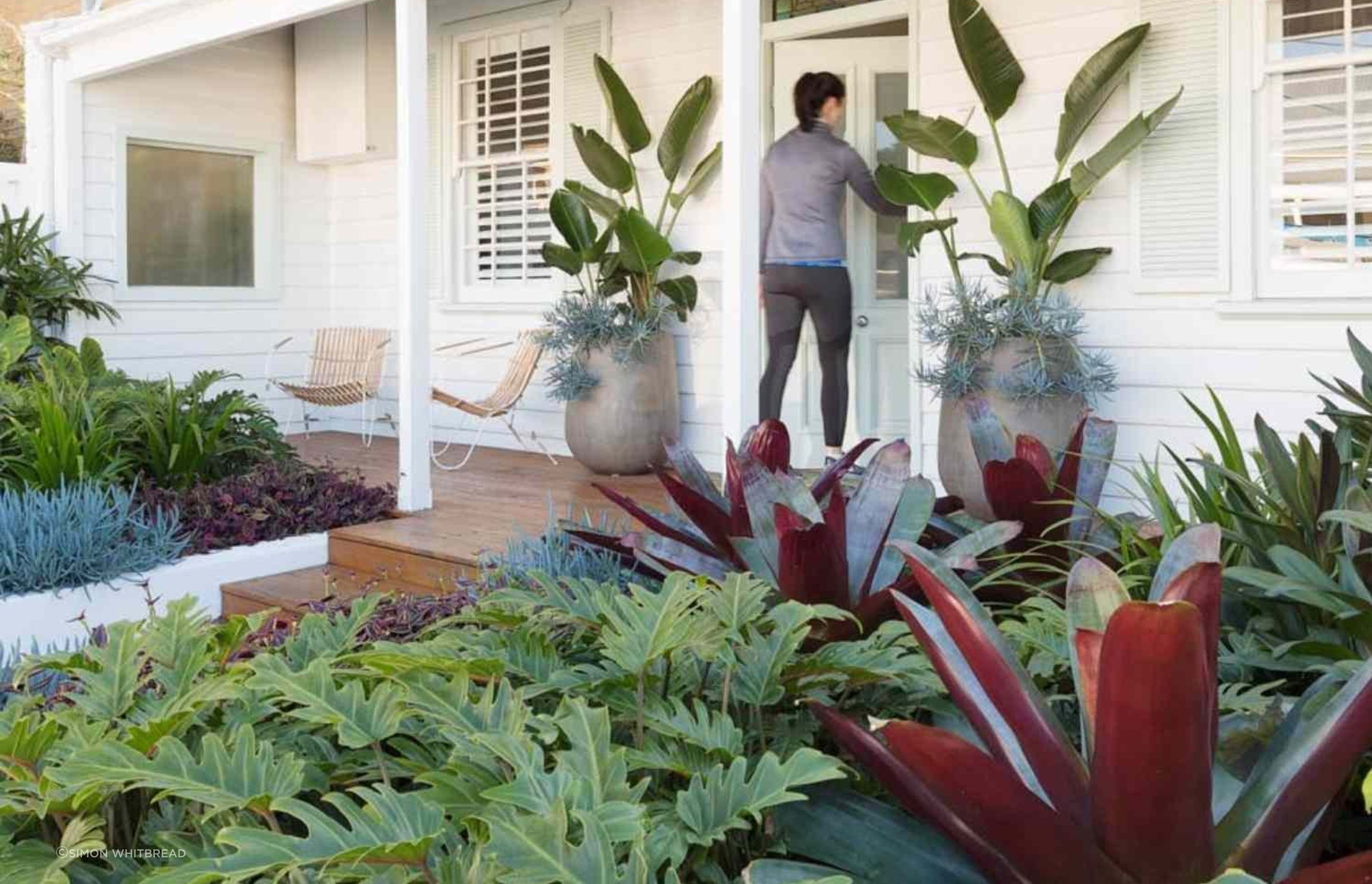 Rozelle - Garden 2