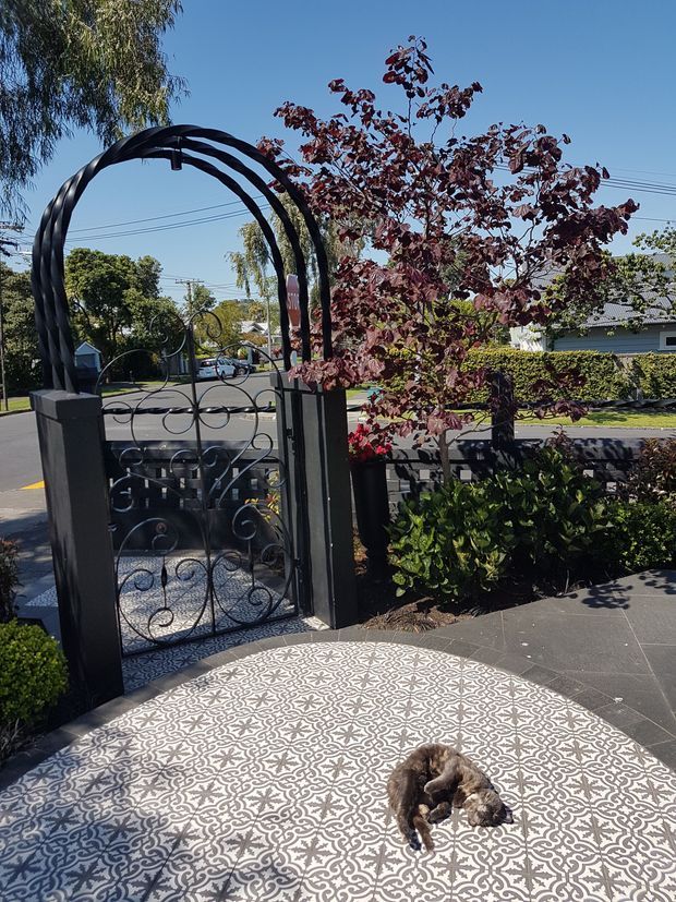 A sunny landscaped entry courtyard with a decorative black metal pedestrian gate and arched trellis, patterned tiled paving, clipped hedges, and mature ornamental planting. A small cat is resting on the foreground paving. Residential street and low-rise homes are visible beyond the gate.