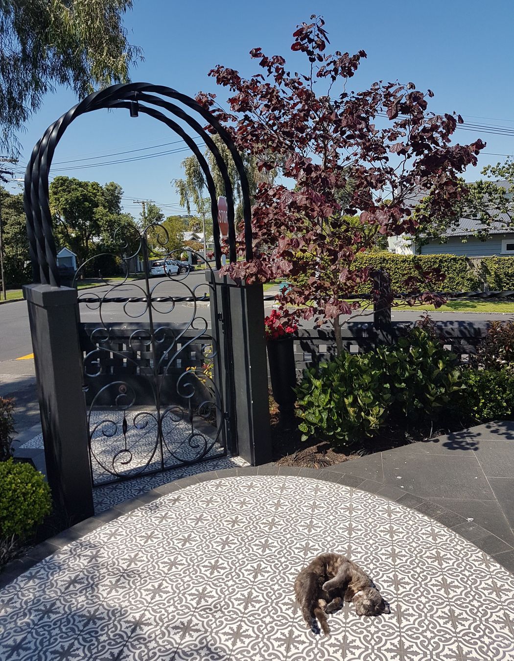 Classical and contemporary courtyard, Mt Eden
