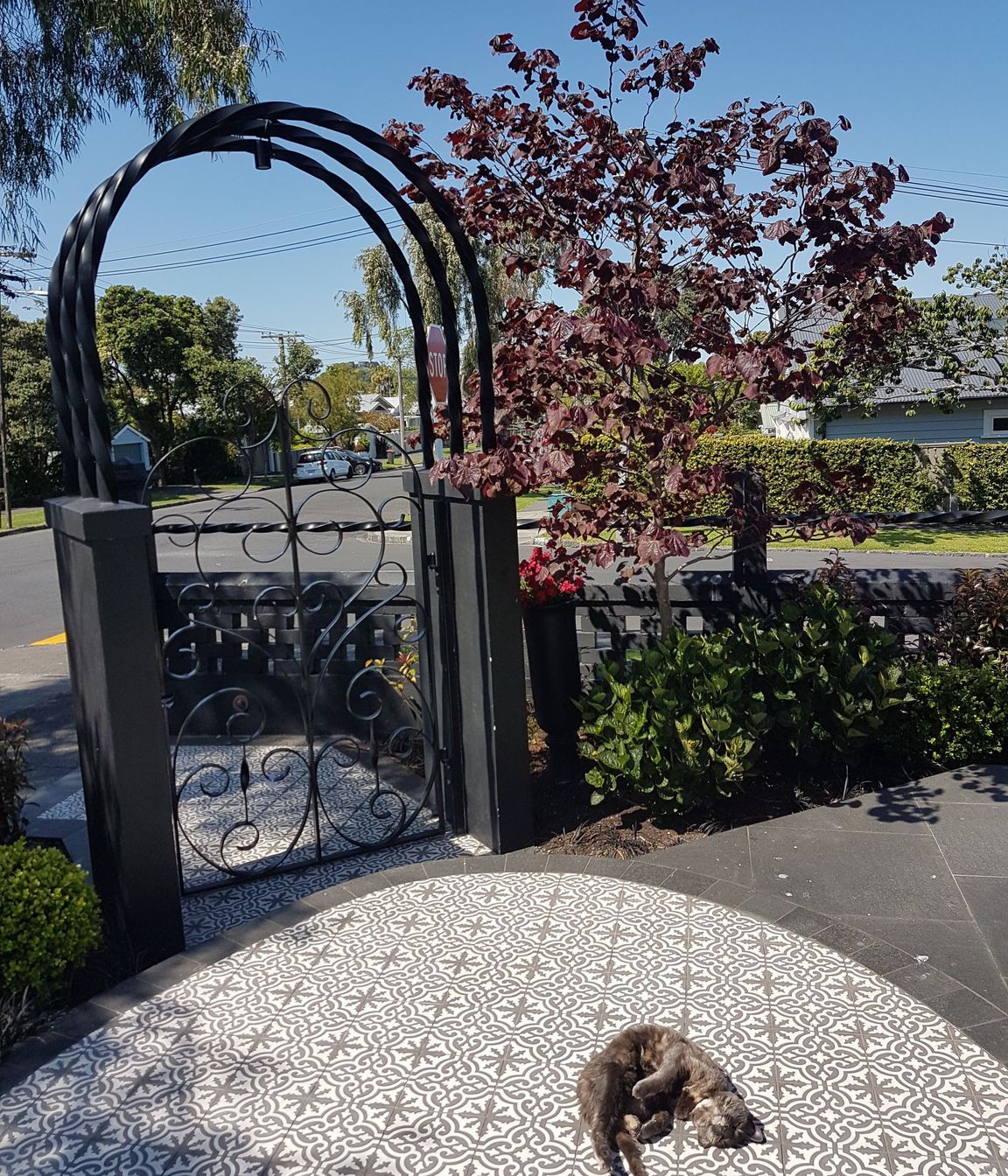 Classical and contemporary courtyard, Mt Eden
