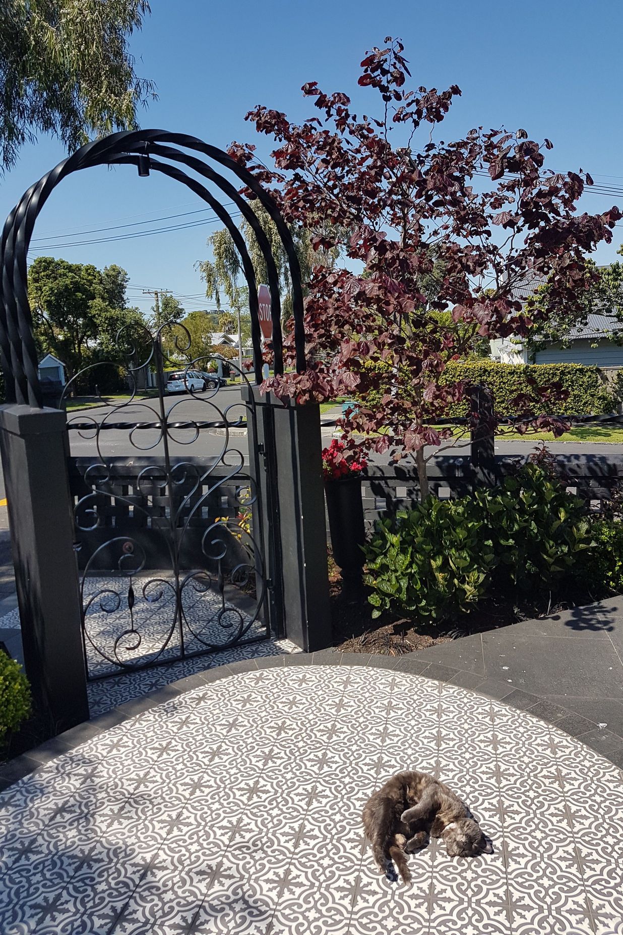 Classical and contemporary courtyard, Mt Eden