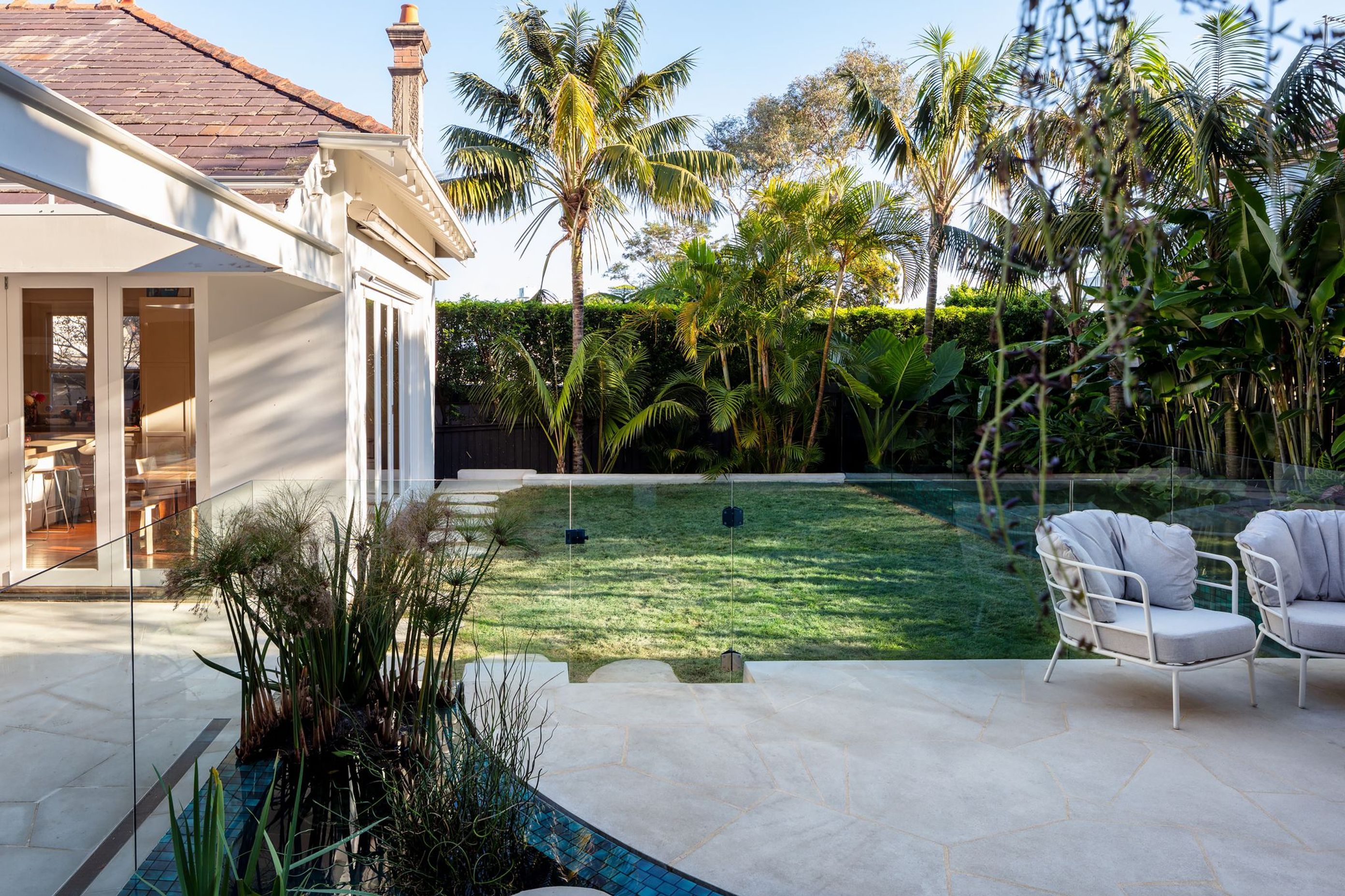 Pure Tropics