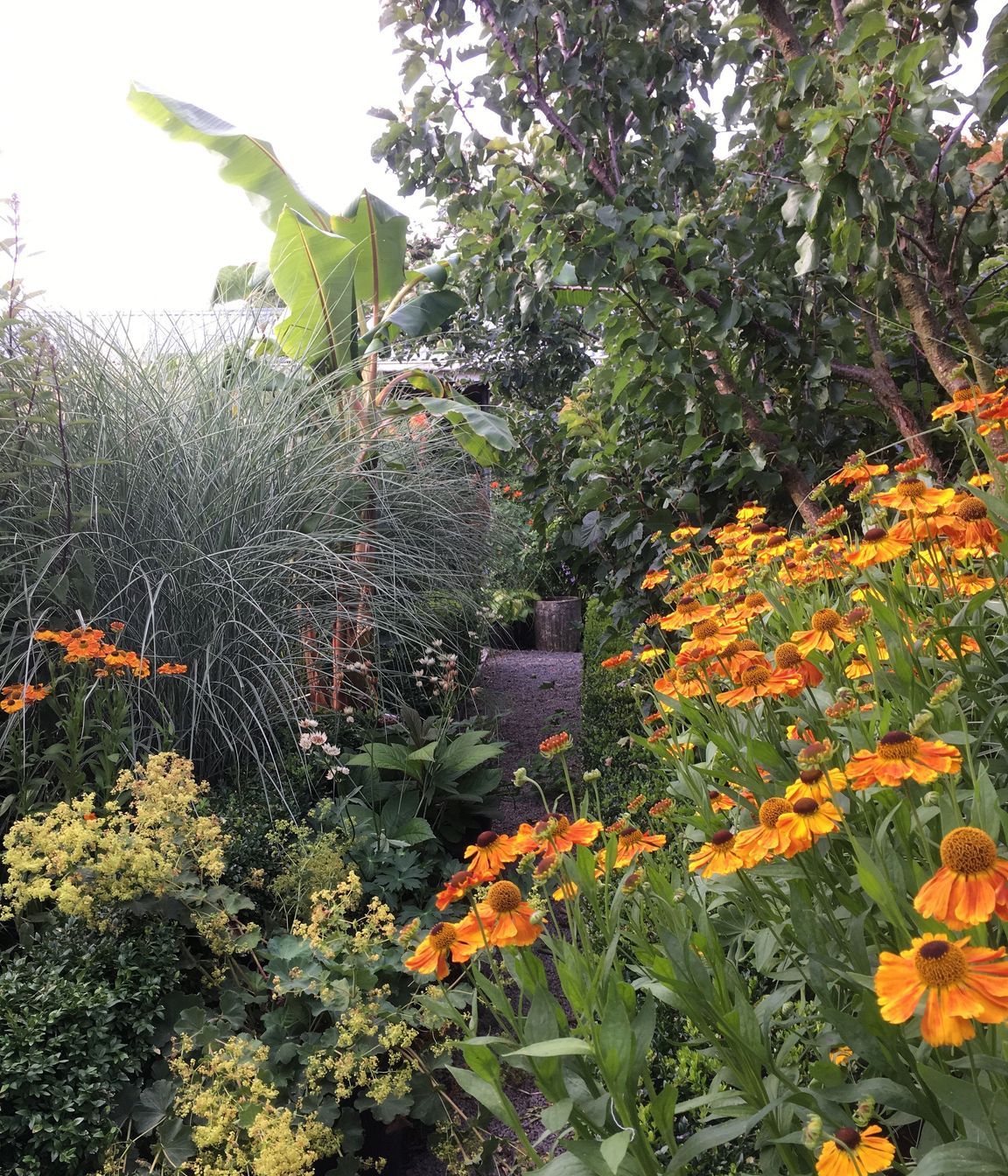 Shirley Garden