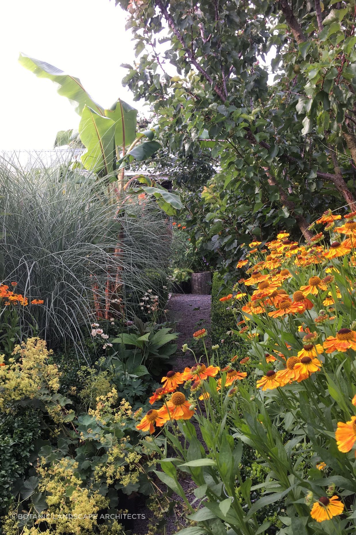 Shirley Garden