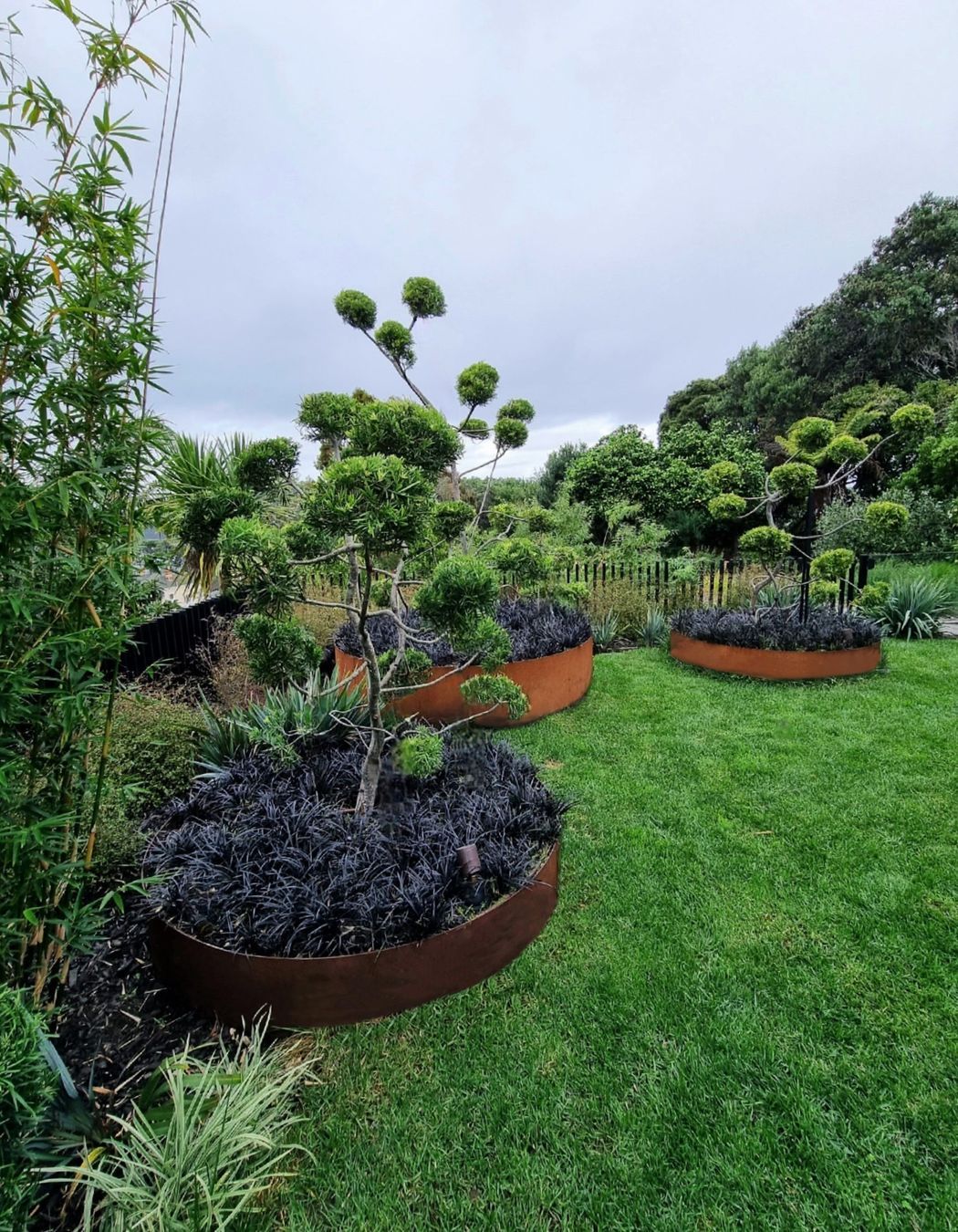 Birkenhead Point Garden