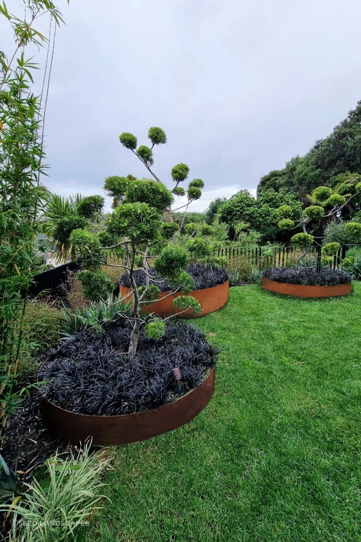 Birkenhead Point Garden