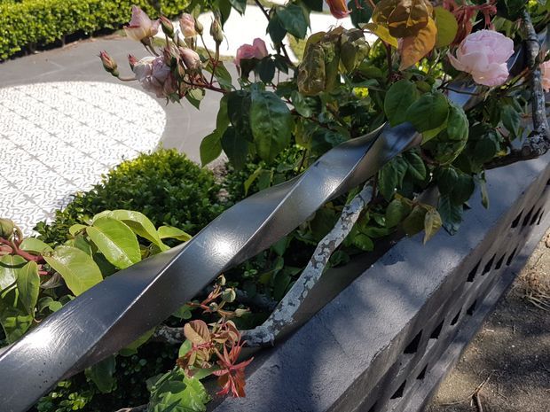 Close-up exterior detail of a dark painted metal handrail mounted above a textured concrete or masonry garden wall, with flowering roses and clipped shrubs surrounding a light patterned paved surface.